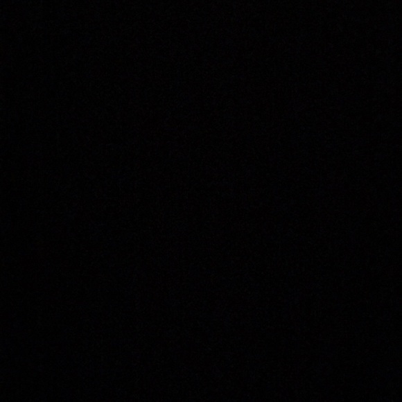 Meet your Posher, Leila - Picture 1 of 1